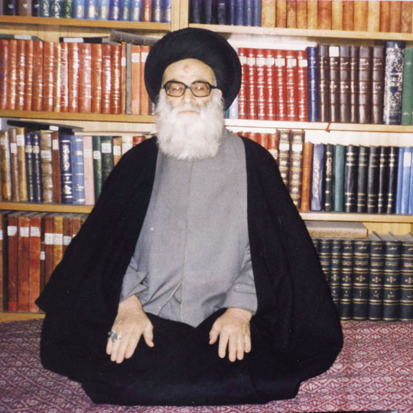 علامه طهرانی، بدون روتوش، بدون فلسفه!